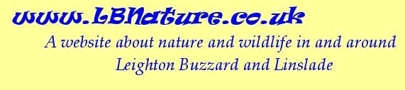 LBNature Title Graphic